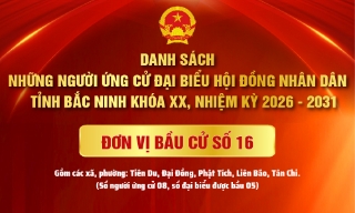 Danh sách Ứng cử viên đại biểu HĐND tỉnh Bắc Ninh khóa XX, nhiệm kỳ 2026 - 2031 (Đơn vị bầu cử số 16)